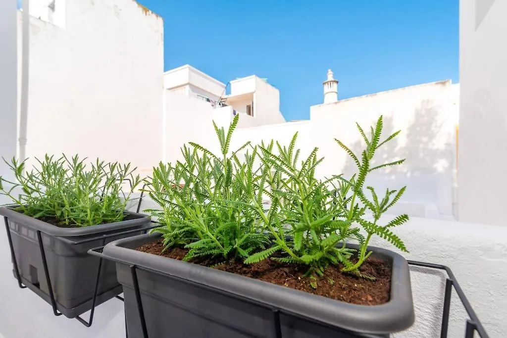 Casa Da Avenida 2 - Centro - Terraco Privado Apartment Tavira
